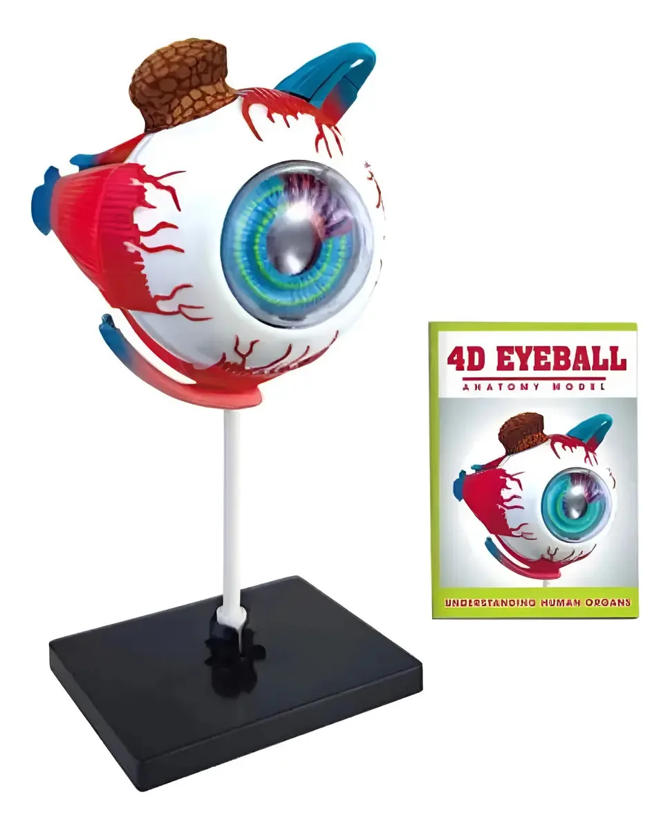 Quebra-cabeça Eye 4D: montagem e didática educacional