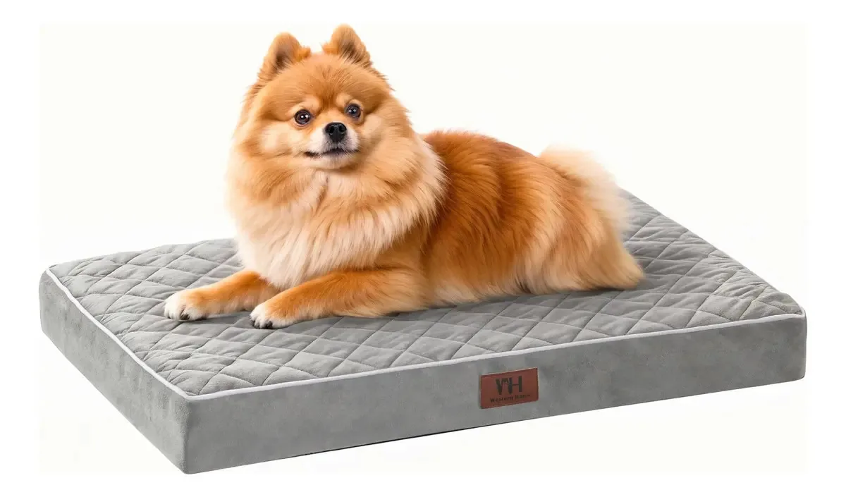 Camas ortopédicas para cães pequenos, médios e grandes. Cor Cinza escuro