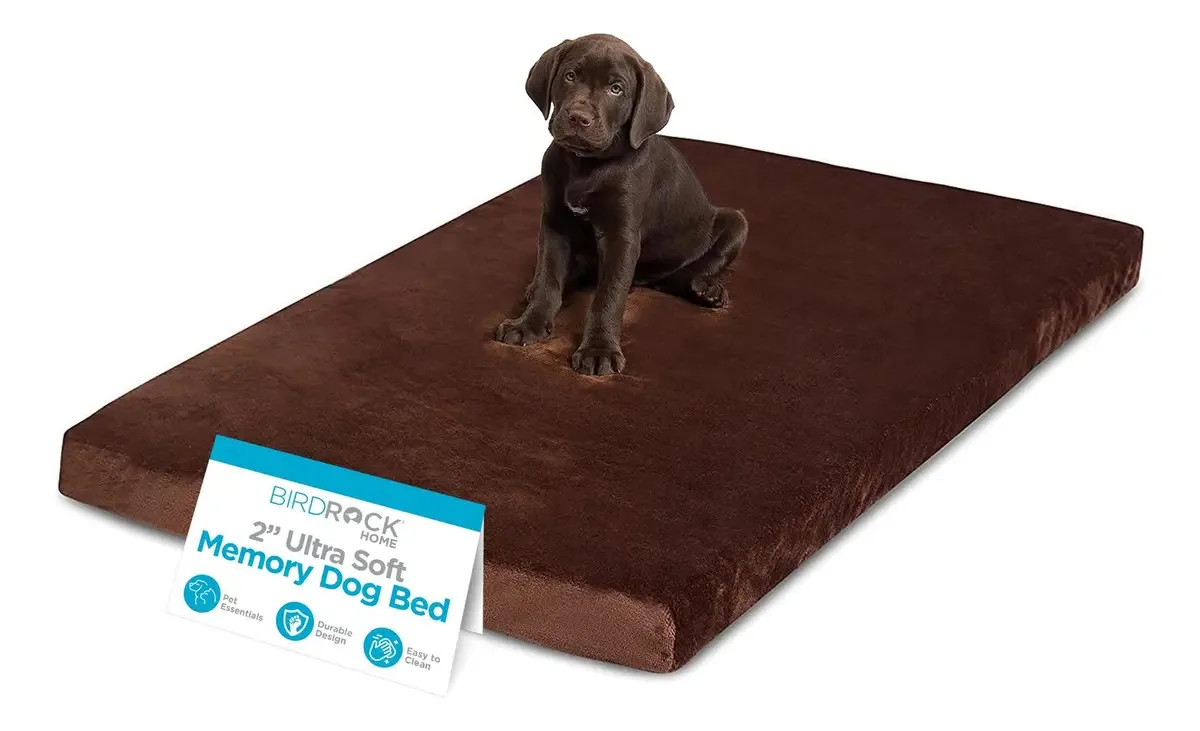 Camas de espuma viscoelástica Birdrock Home para cães de. Cor: Marrom