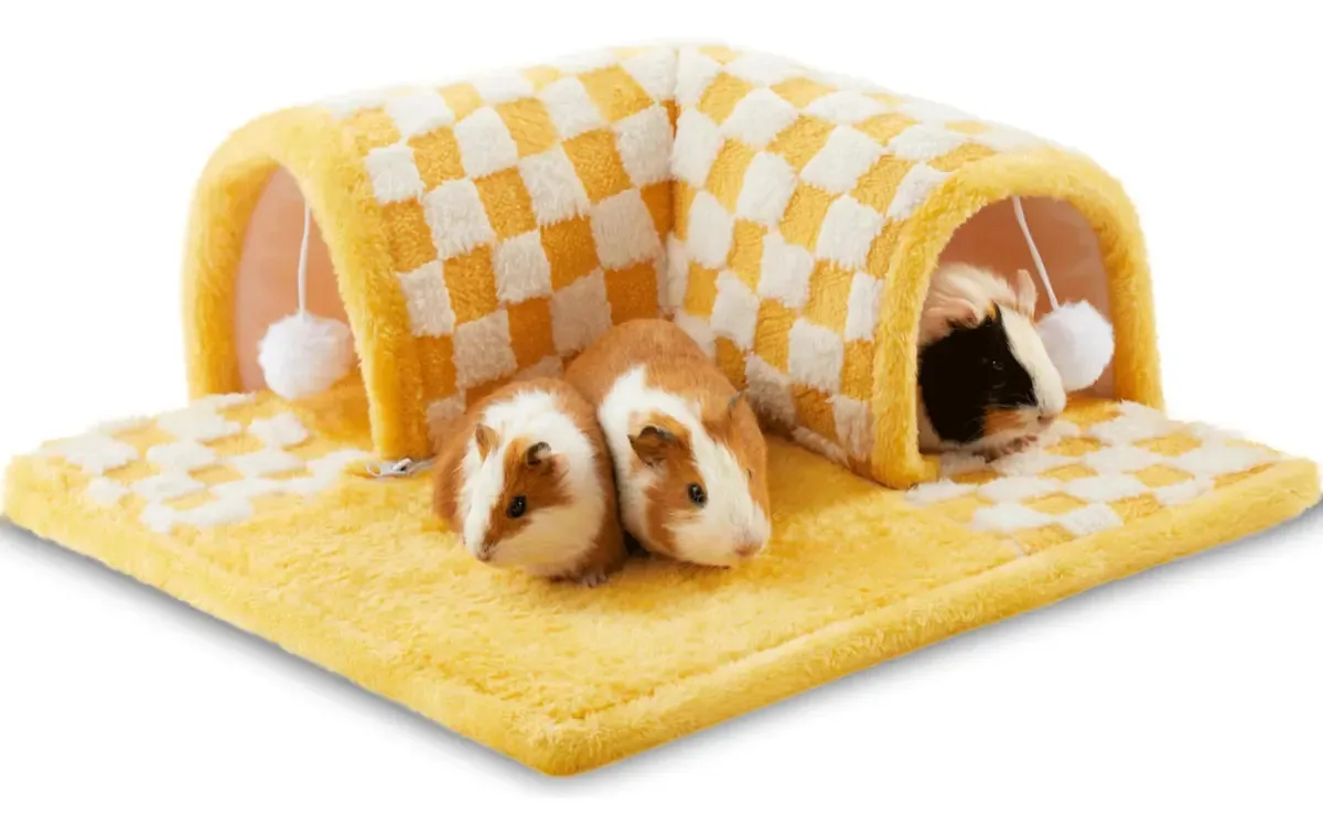 Cama de túnel de cobaia