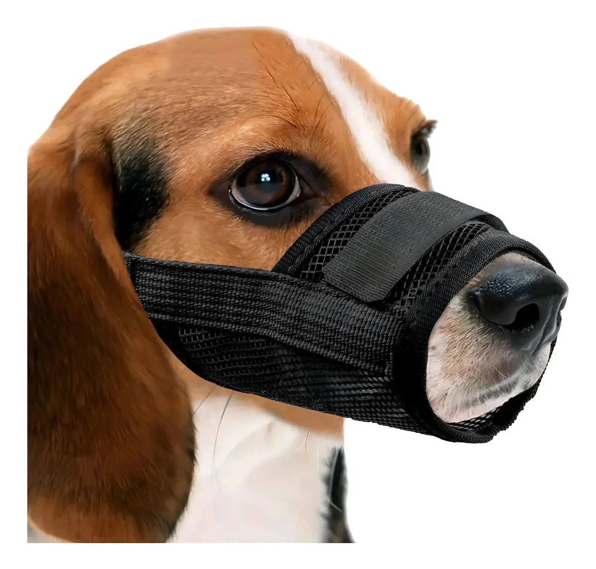 Capa de malha de nylon respirável Yaodhaod para Bo