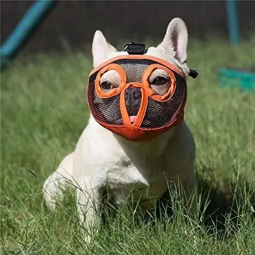 Jyhy Focinheiras Curtas Para Cachorro, Focinheira De Malha Respirável Ajustável Para Morder, Mastigar, Latir, Treinamento De Cachorro, Laranja (olhal) S
