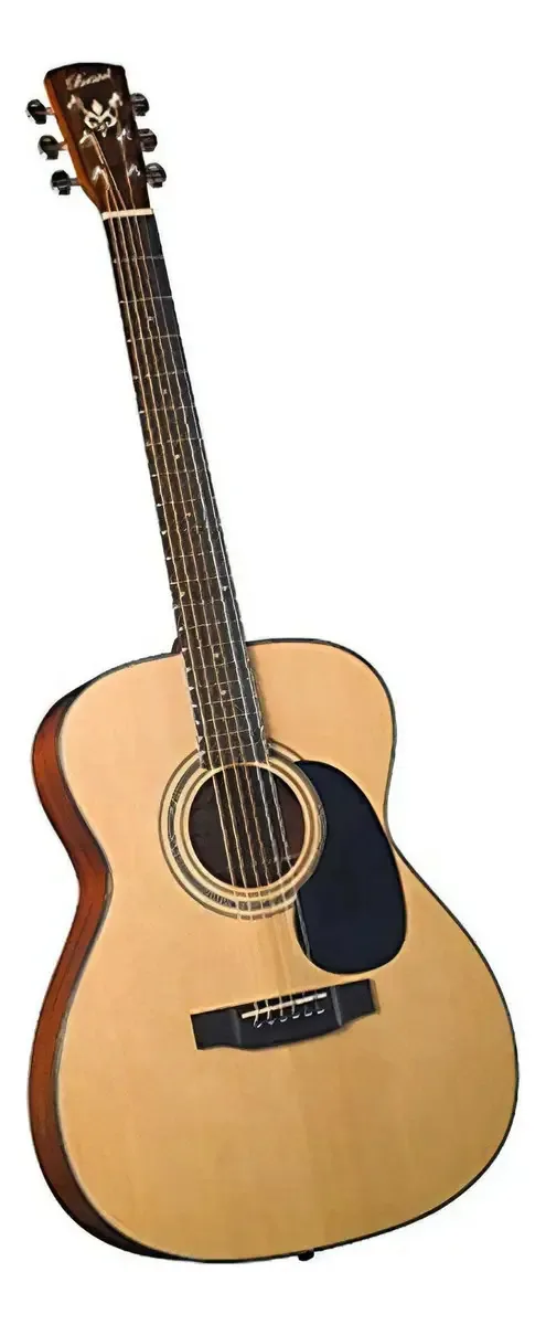 Guitarra acústica Bristol Bm16 000