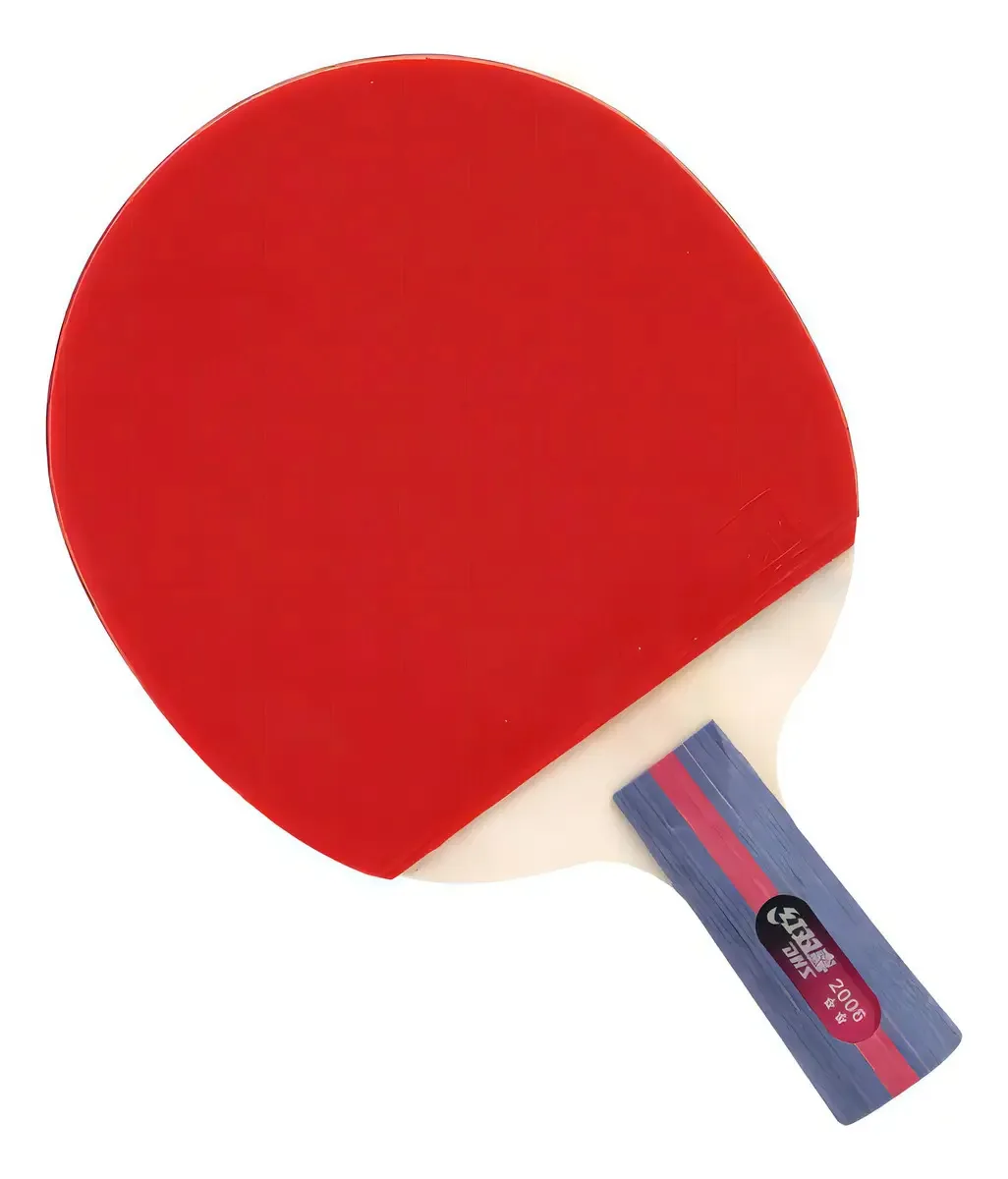 Raquete Tênis de Mesa DHS Classineta H2006 2 Estrelas ITTF
