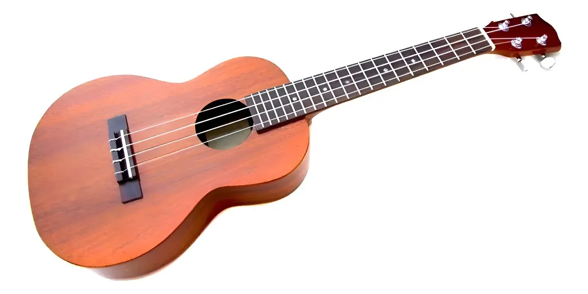 Bolsa Ukulele Alaguez AZ21A 21" Castanho/Cinza Marrom