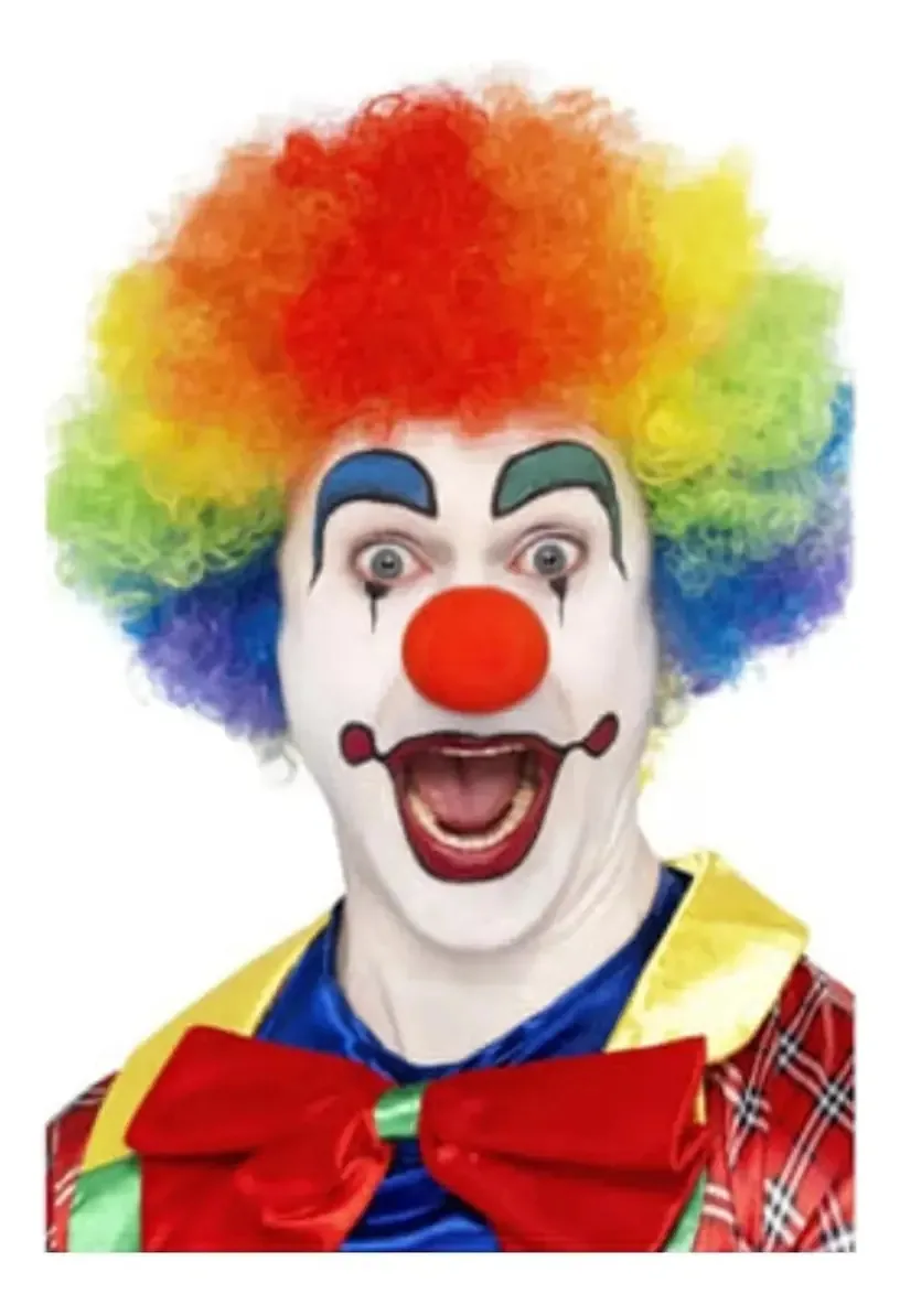 Peruca multicolorida Afro Clown