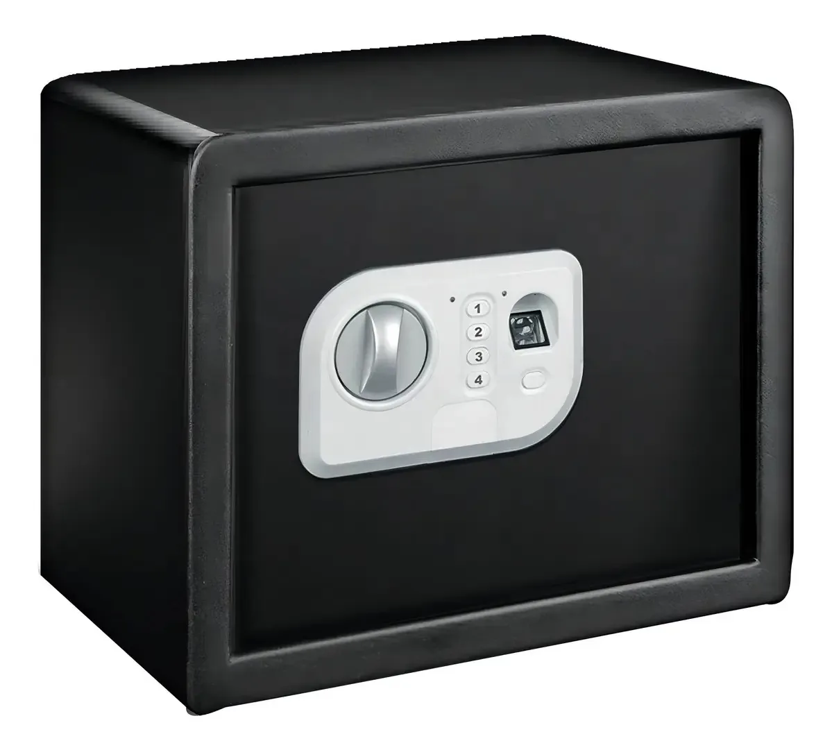 Cofre Biometrico 25 Fpn