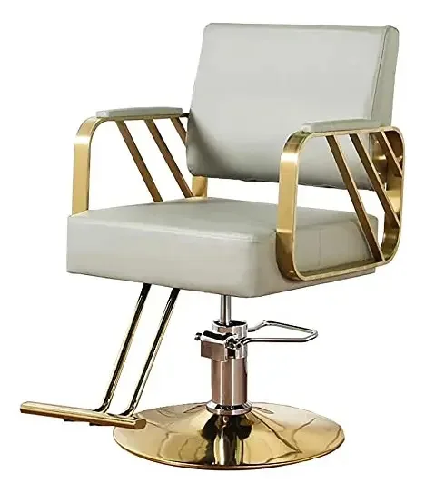 Qlazo Estilo de Cabeleireiro Giratório, Simplicidade Cadeira de Barbeiro Salão Beleza Beleza Spa Shampoo Cabelo Profissional Estilo Hidráulico Rotativo Equipamento (cor: Light Grey+gold)