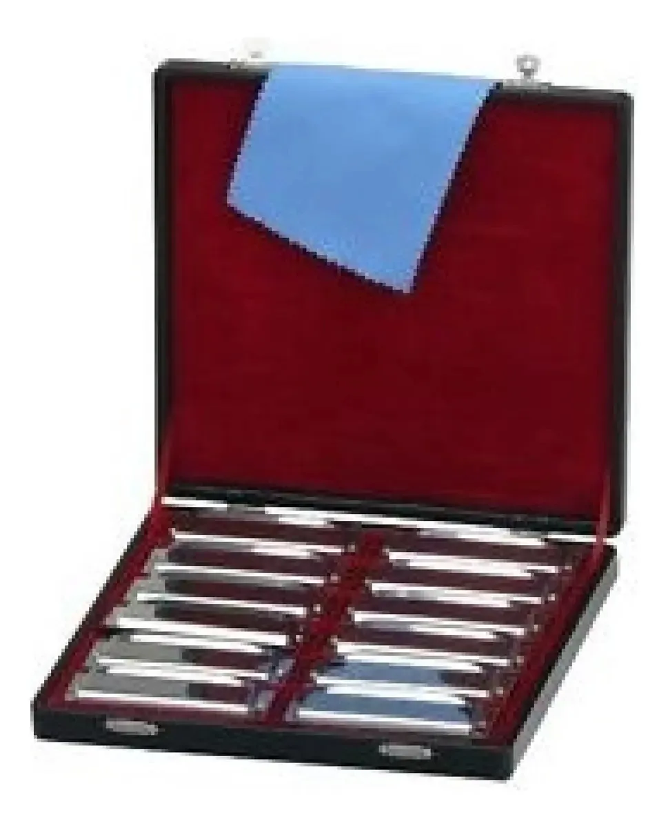 Harmonica Set Six Set 12 Tunings