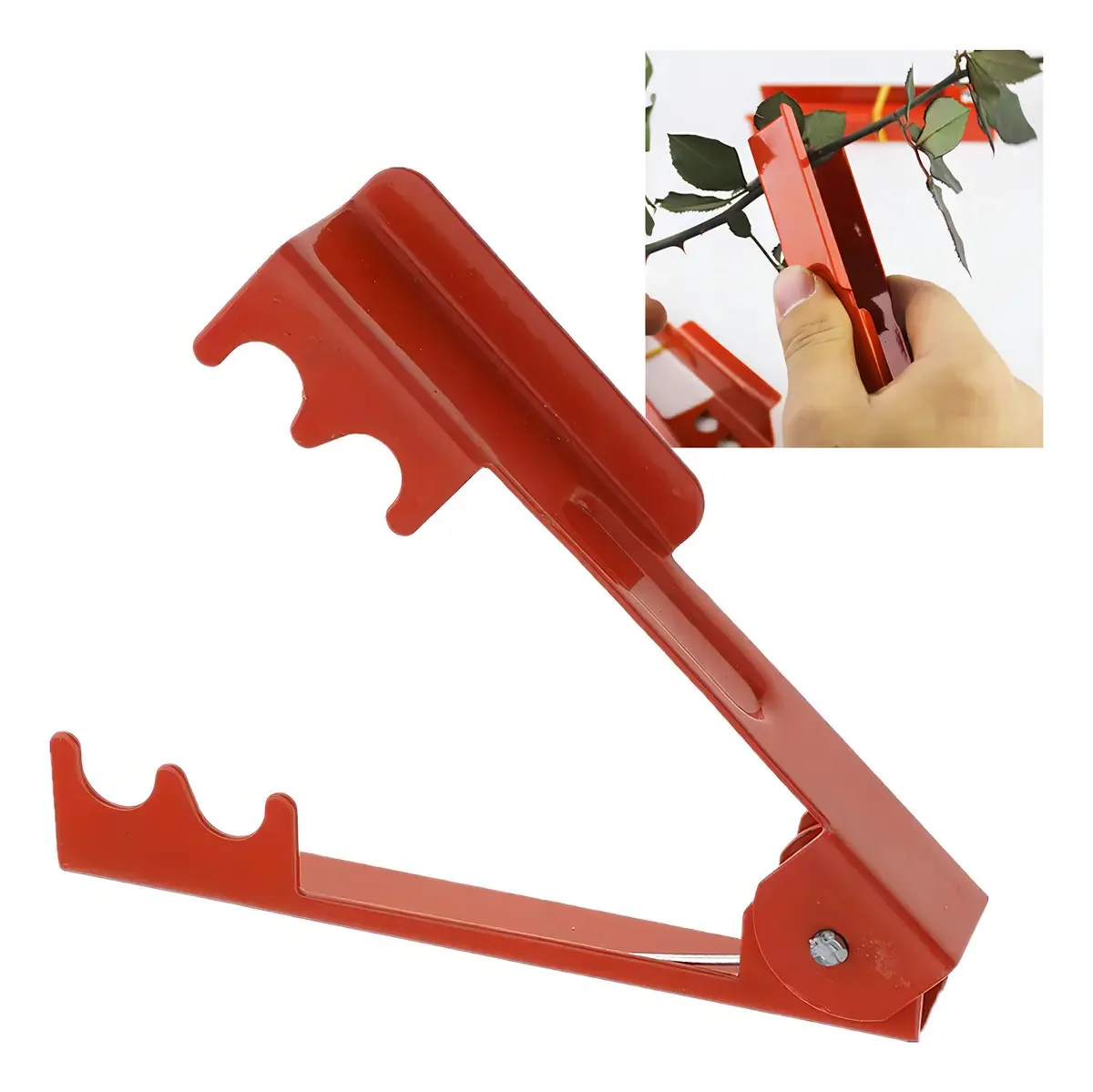 Ferramenta profissional para descascar espinhos de folhas de rosa