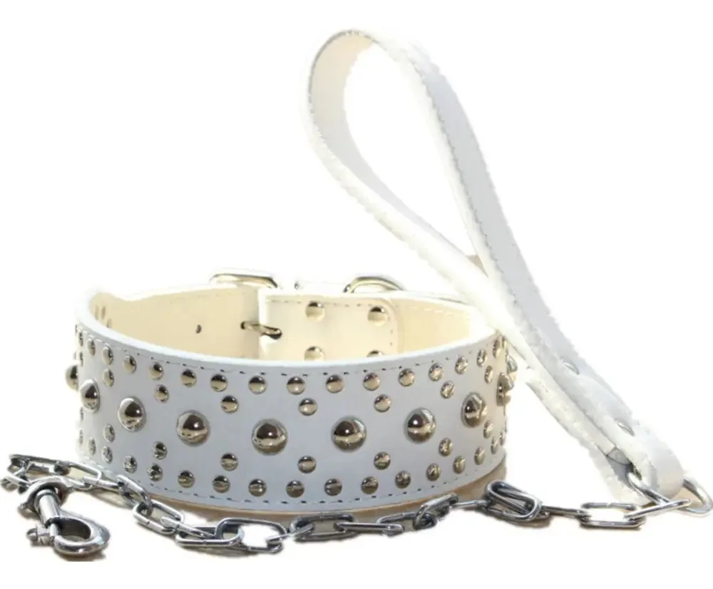 Conjunto de coleiras de couro cravejado 2D para cães
