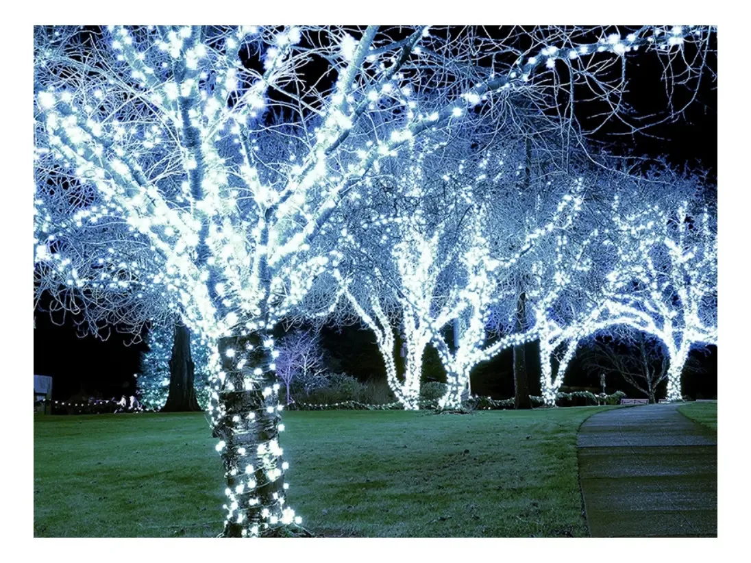 Cordão de LED 10m Fixo Branco-Frio Para Decoração de Exterior e Interior