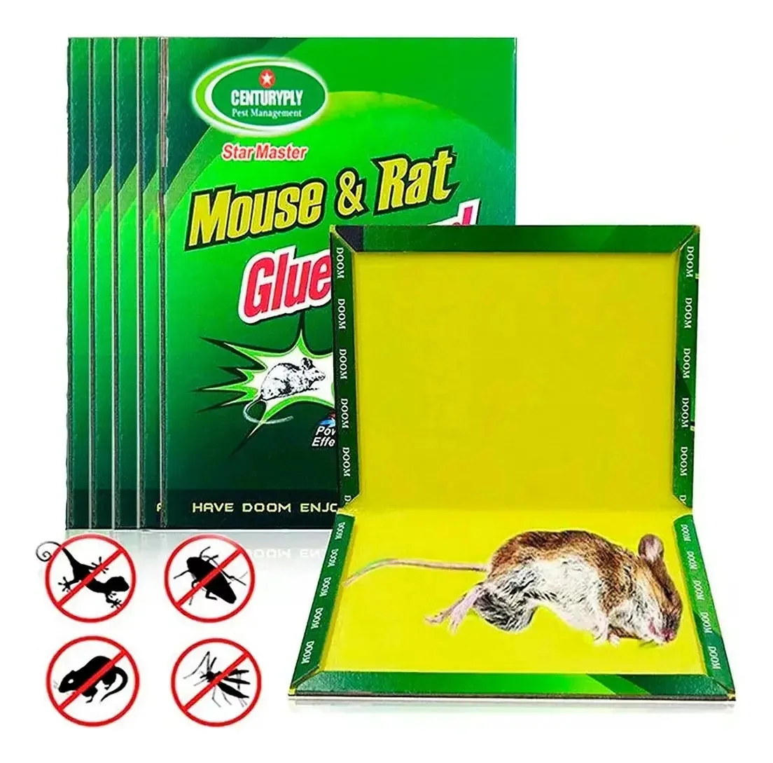 Placa Armadilha para Ratos e Roedores com Cola Adesiva
