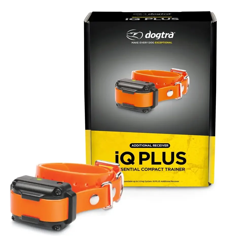 Receptor adicional impermeável Dogtra Iq+ com alça laranja