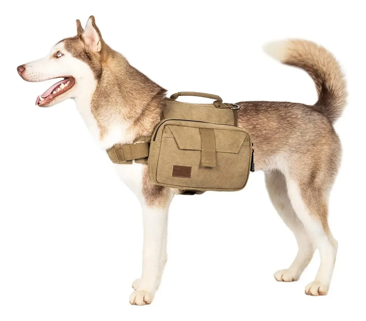 Onetigris - Mochila de viagem para cães de tamanho médio e G