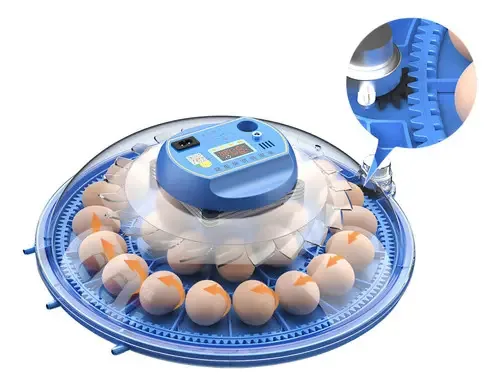 Chocadeira Incubadora Automática 52 Ovos Lenharo Melhor