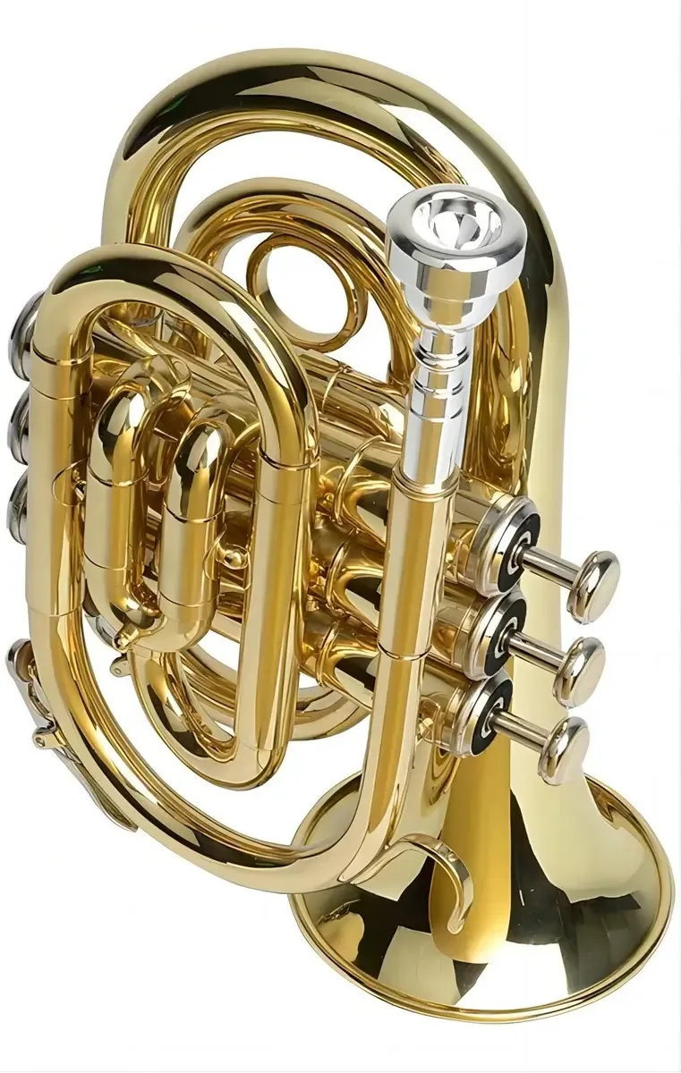 Trompete de bolso em miniatura Bb Gold Color Instrument