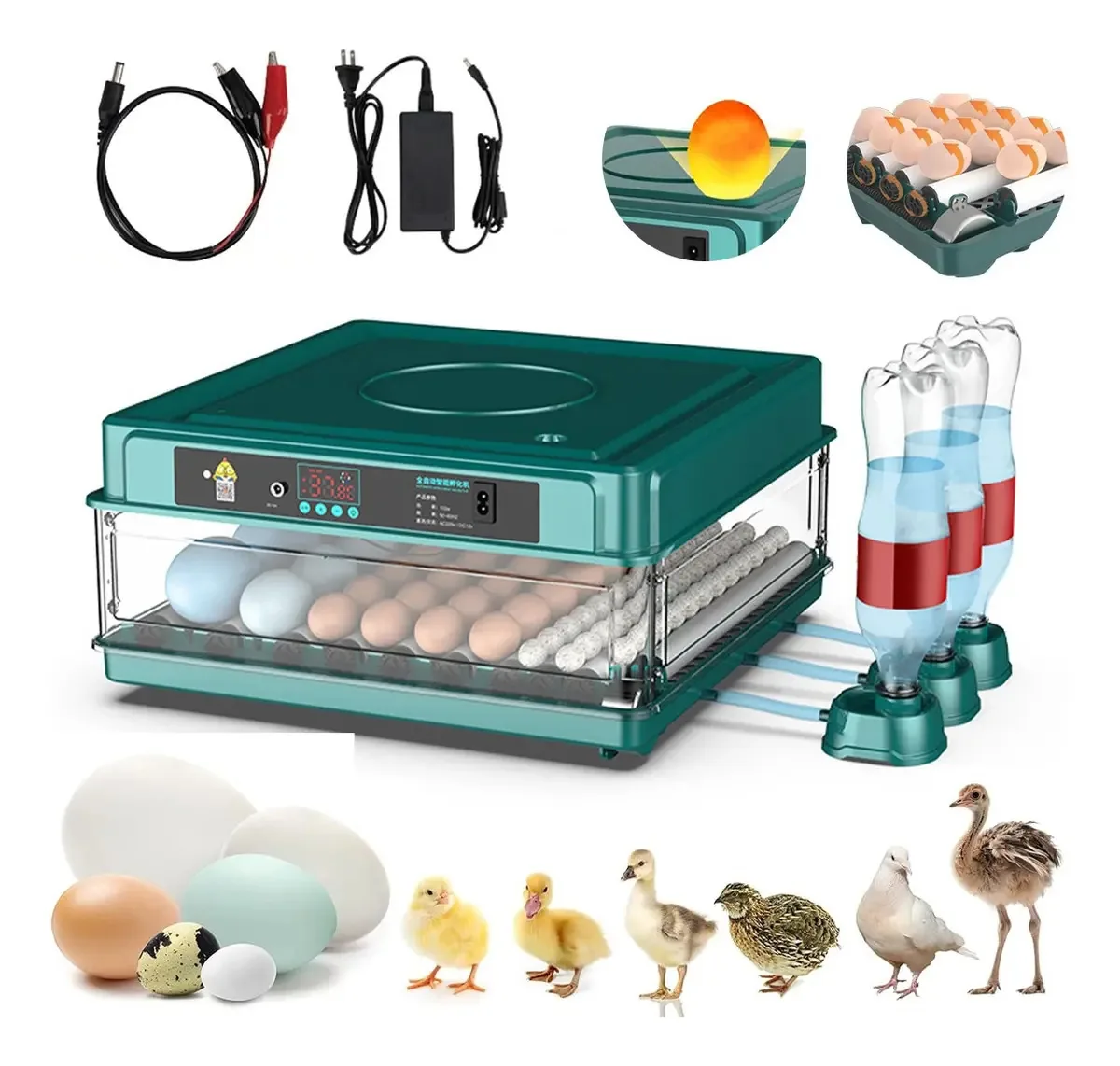 Incubadora automática de aves de 64 ovos