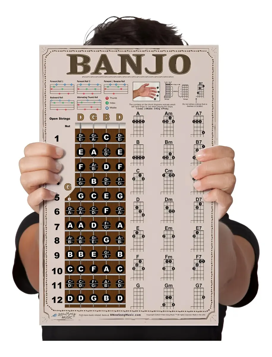 Cartaz laminado Banjo And Fingboard Chord Poster P. American Laminated Color - 11x17