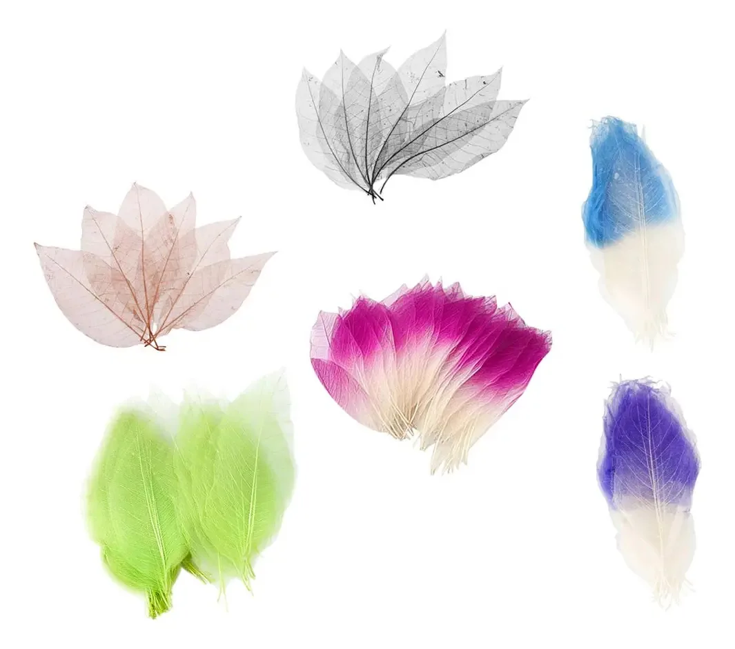 Prettyia Feito à Mão 300 Peças Magnolia Esqueleto Folhas Árvore De Borracha Livro De Recordações Natural Cartão Artesanal Casamento Joalheria De Diy Pendente Filtro dos Sonhos