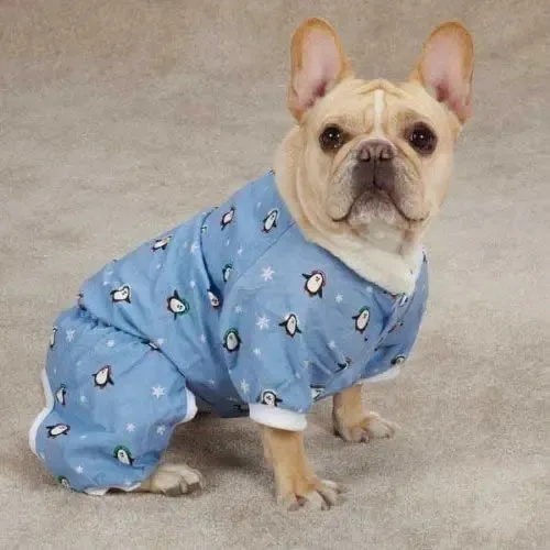 Pijama casual canino Blizzard Buddies - azul
