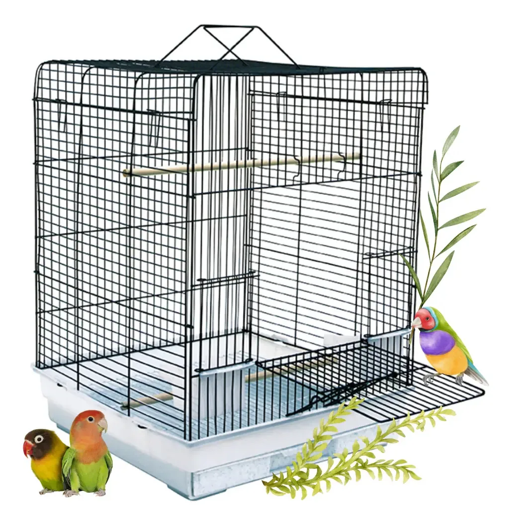 Cage Birds Lovebirds Canary Diamonds Medium Gold