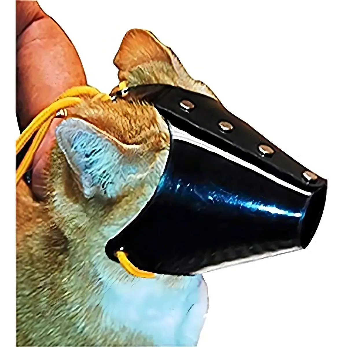 Focinho Jorvet Premium para gatos, grande