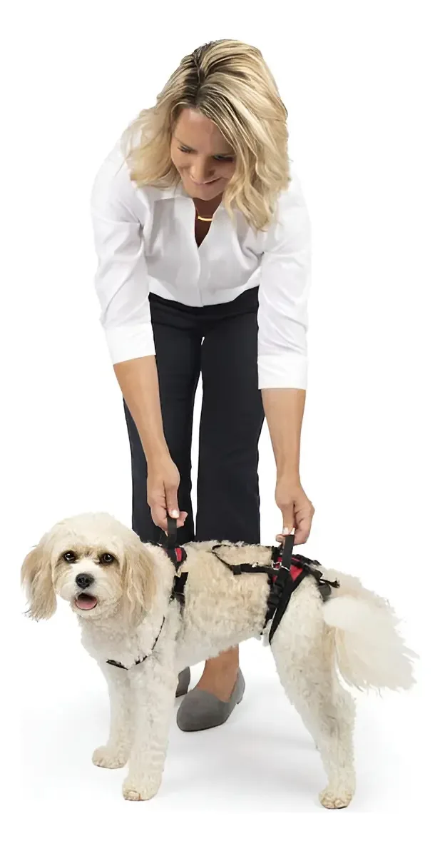 Arnês para cães, suporte de elevação e auxílio, Solvit Ca. Cor: vermelho