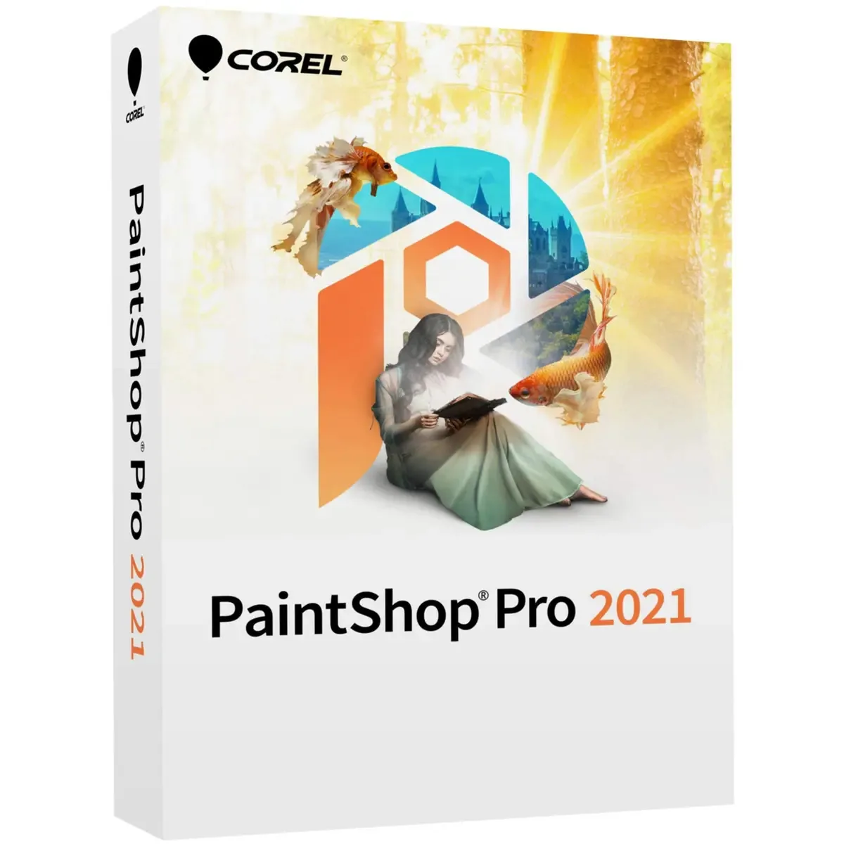 Software multimídia Corel Paintshop Pro versão 2021 - Físico
