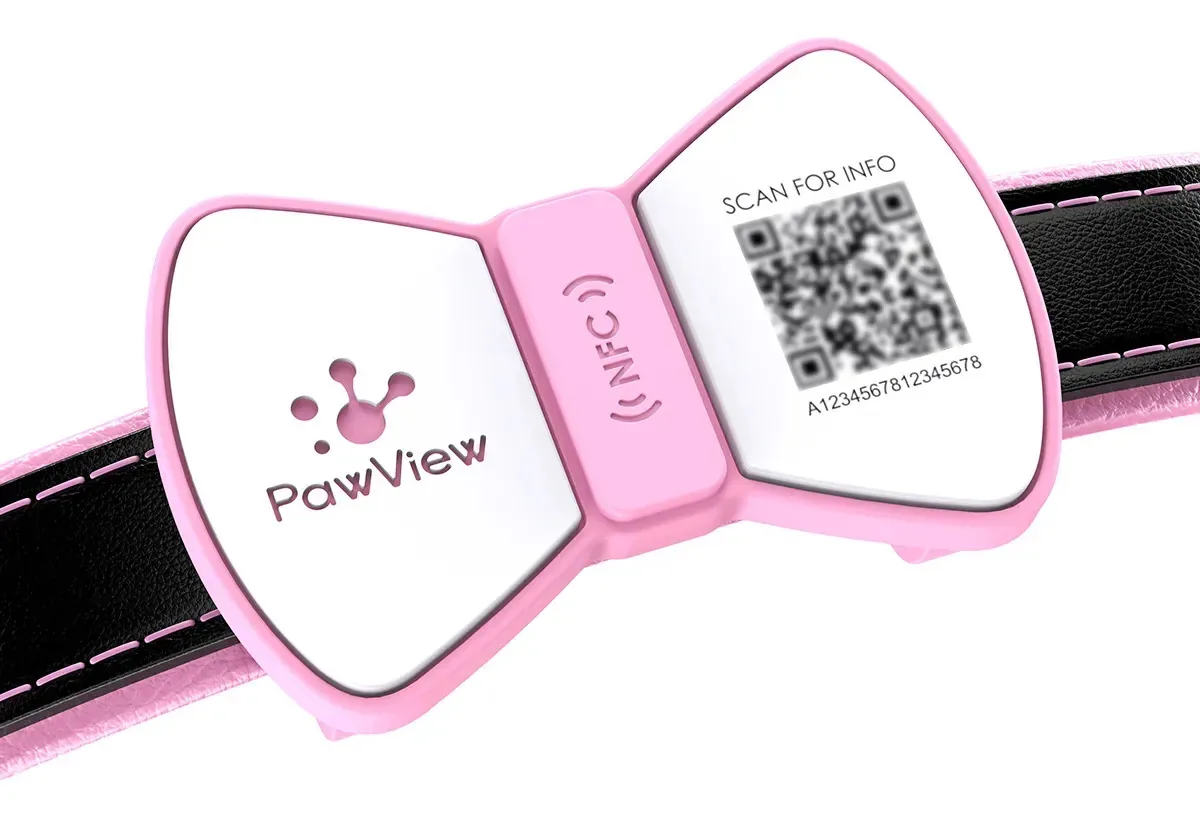 Placa de Identificação Redonda PawView com QR Code para Cães e Gatos – Rosa