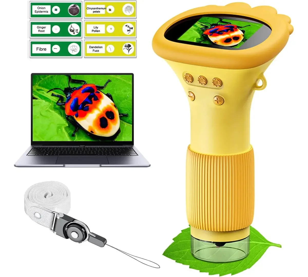 Microscópio de bolso para crianças -1000x Portable Microsc
