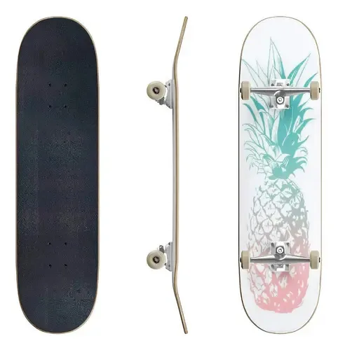 Skates vetoriais desenhados à mão, abacaxi, suculentas, Ilust. Cor Cor 53