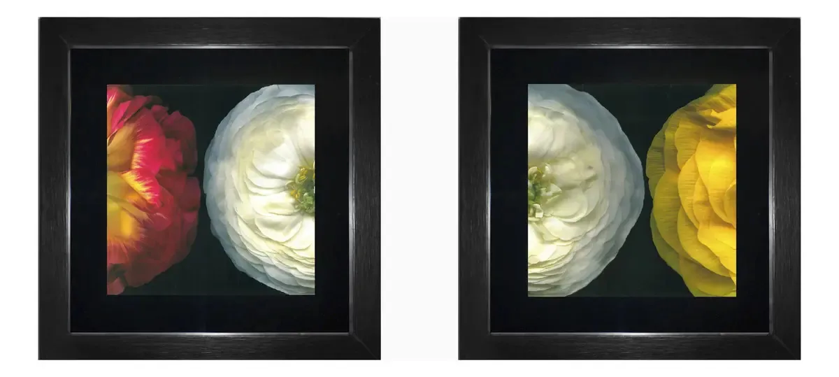 Conjunto De Quadros Decorativos Floral
