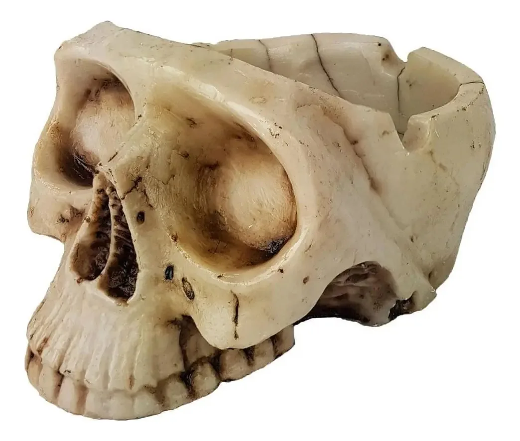 Cinzeiro Crânio Caveira Resina Esqueleto Bege