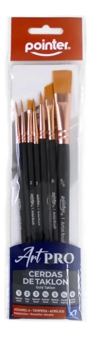 Conjunto de pincéis Pointer