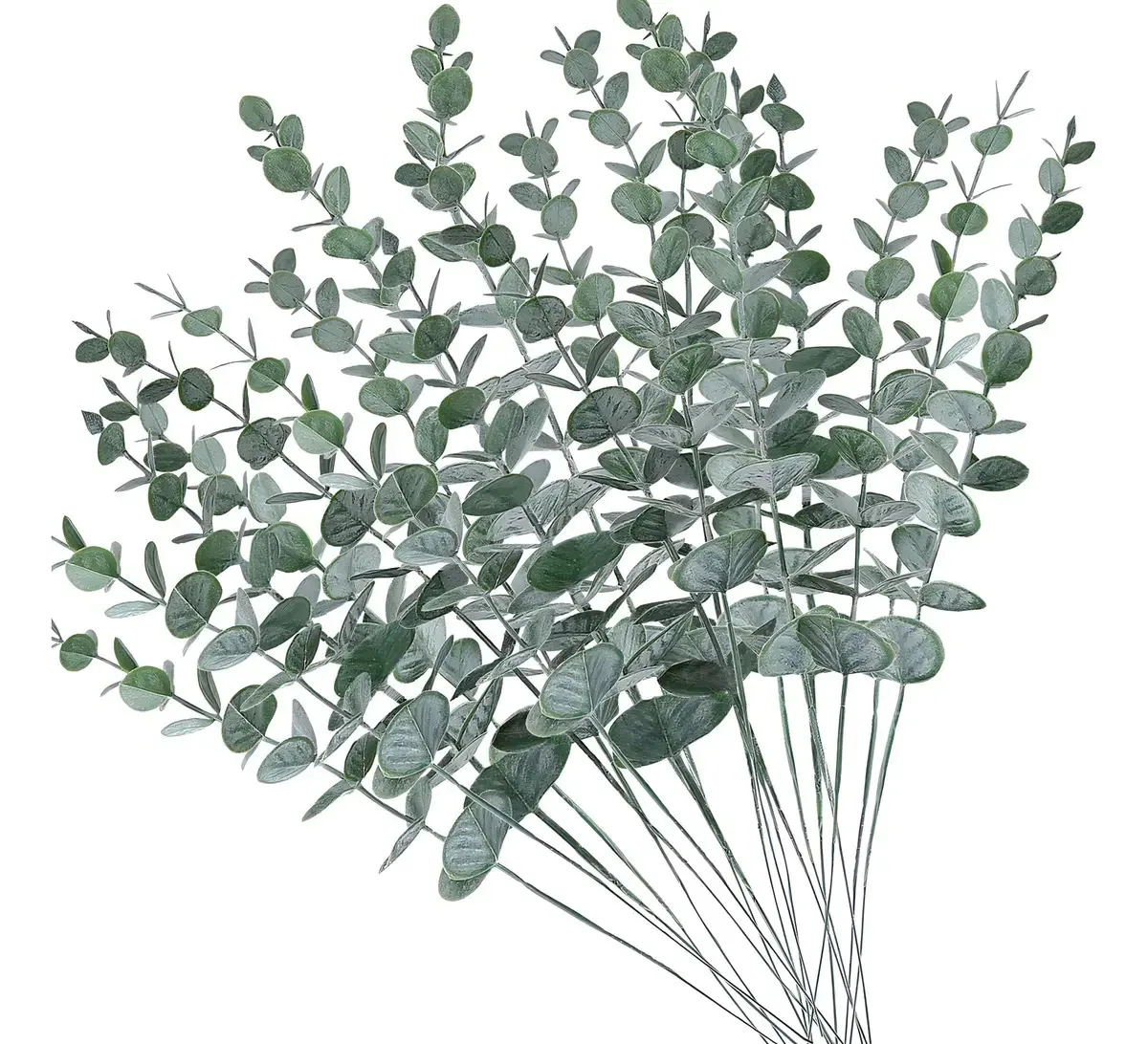 Aumveyi 20 peças de caules e flores de eucalipto sintético
