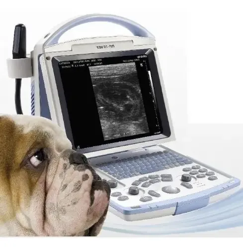 Ultrassom veterinário portátil Mindray com transdutor