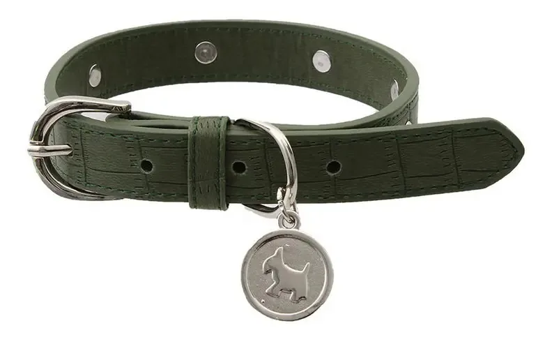 Coleira para cães de raça grande Jurassic World Ruz, cor verde