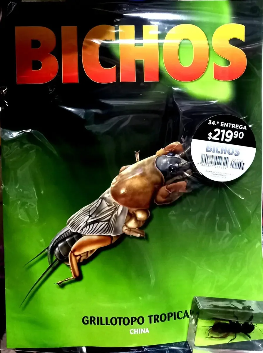 Bichos Editorial Rba Edição 34 Grillotopo Tropical