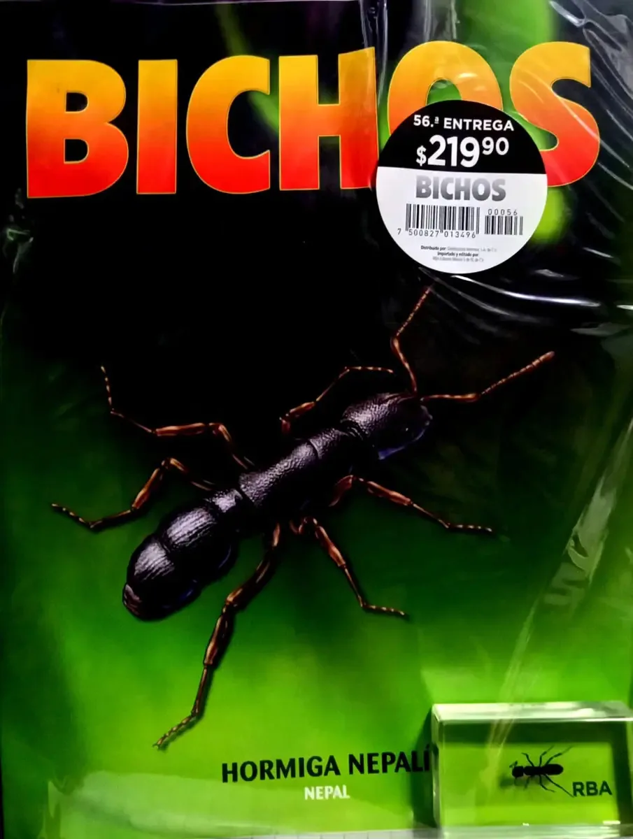 Bichos Editorial Rba, edição 56, formiga nepalesa