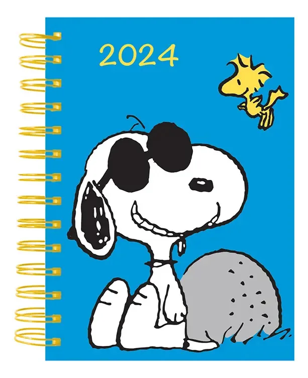 Diário do Snoopy 2024 (cor azul)
