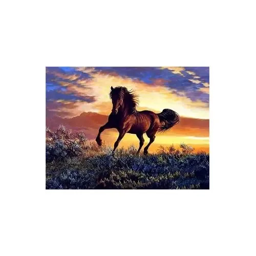 Kit de pintura artística Sunset Horse Diamond Dm-65 Educar