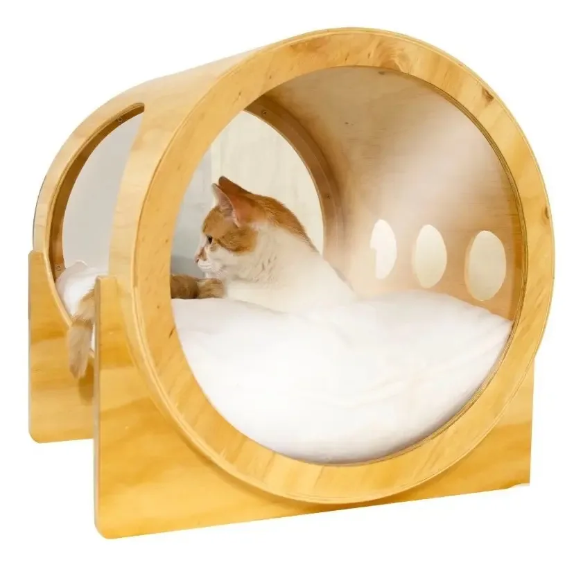 Cama Space Cat