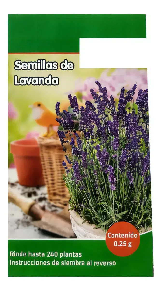 Sementes de lavanda