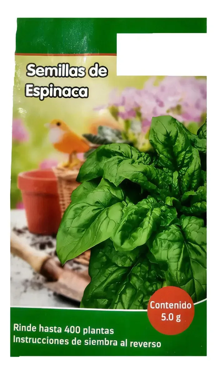 Sementes de espinafre