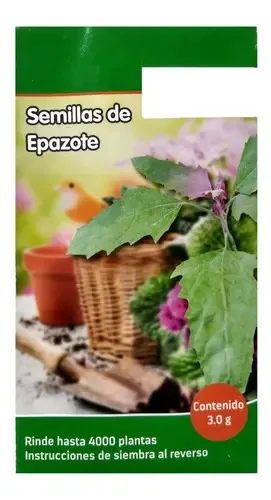 Sementes de Epazote