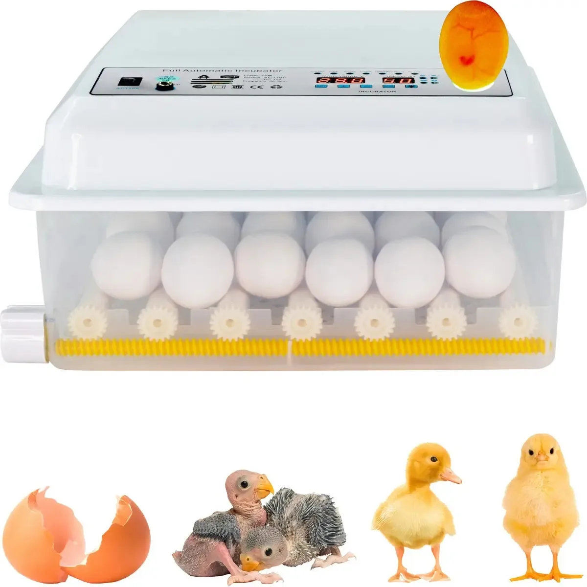 Incubadora automática de 36 ovos, aves e galinhas + ovoscópio