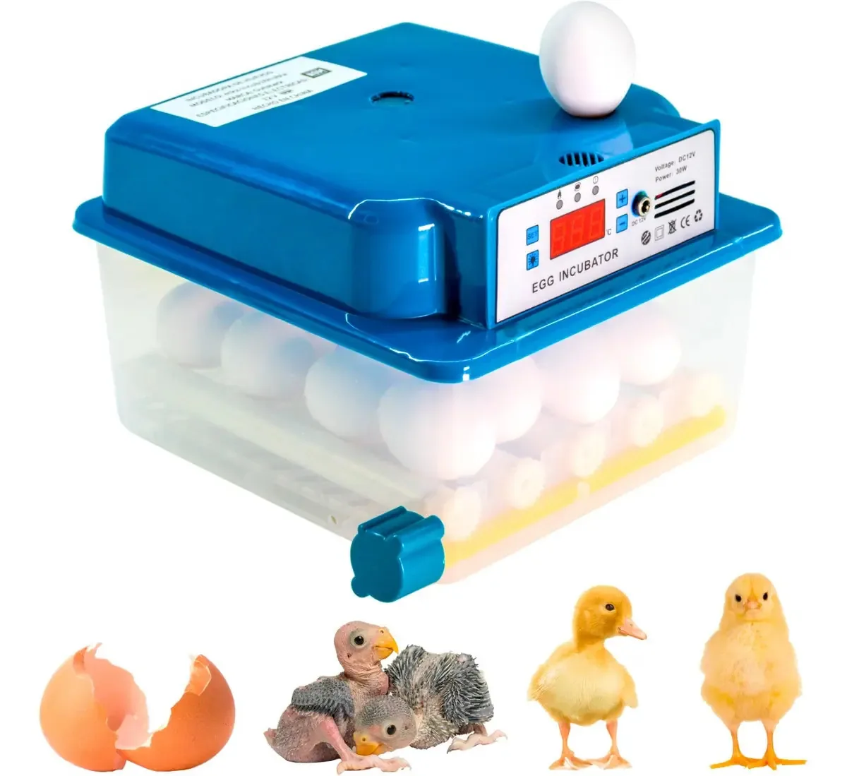 Incubadora automática para 16 ovos, galinhas e aves + Ovoscope
