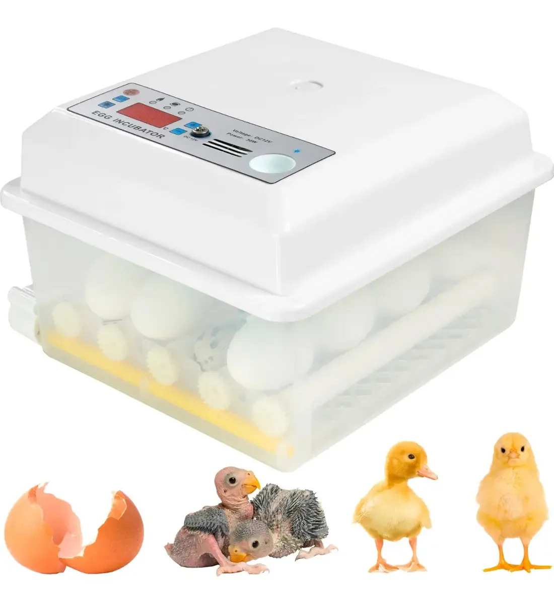 Incubadora automática de 16 ovos, aves e galinhas + ovoscópio