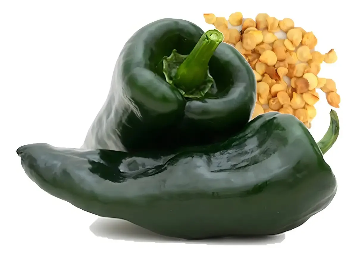 Chile Poblano Seeds: horta doméstica, vegetais e vegetais